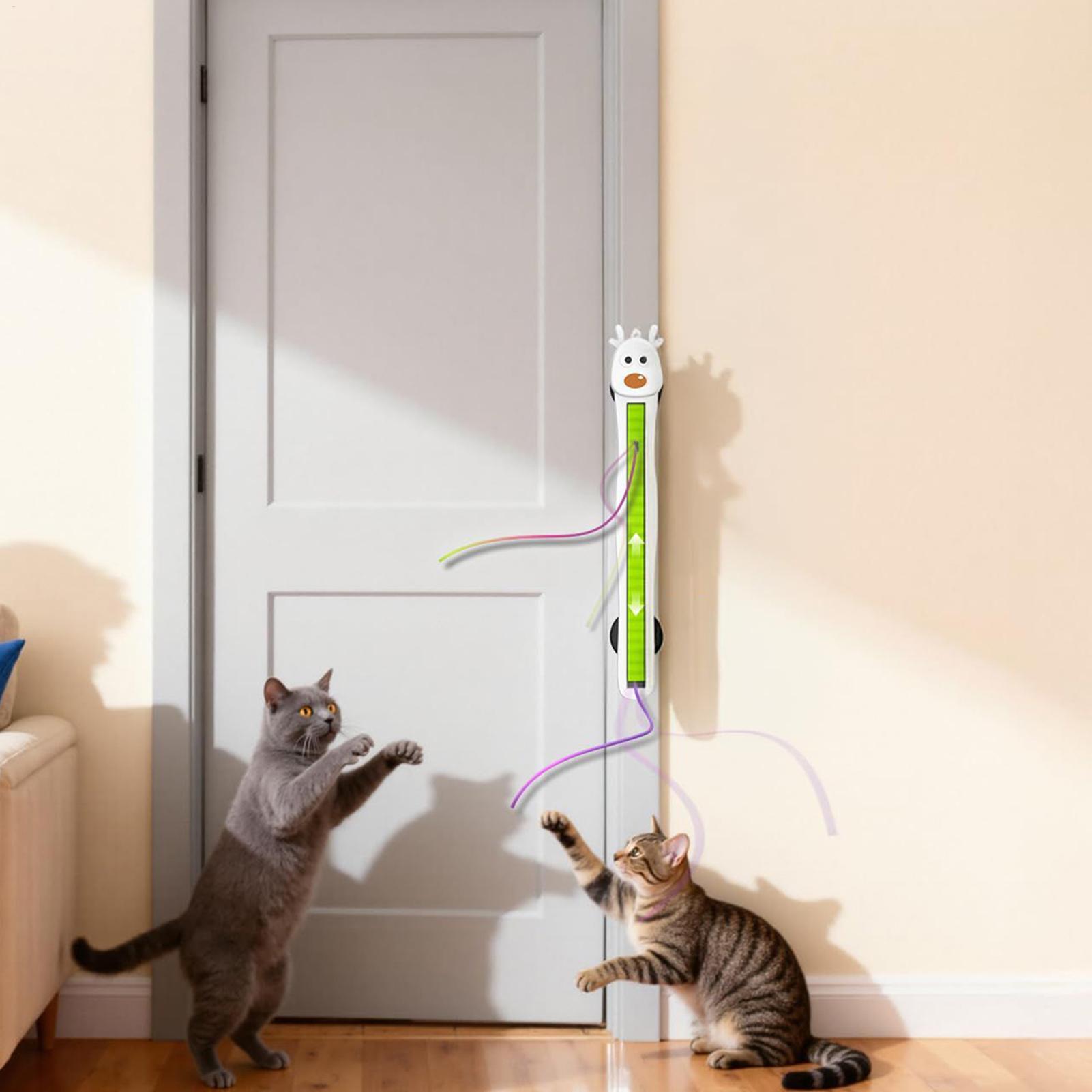 ของเล่นแมวอิเล็กทรอนิกส์แบบติด - Kitchen Electronics Gadgets บทวิจารณ์และราคา